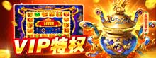 VIP特权