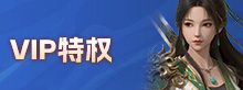 VIP特权