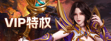 VIP特权