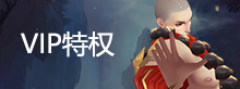 VIP特权