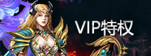 VIP特权