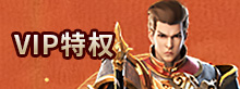 VIP特权