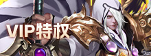 VIP特权