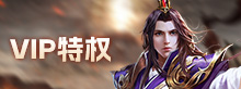 VIP特权