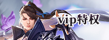 VIP特权