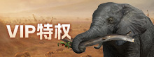 VIP特权