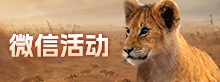 微信活动