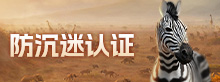防沉迷认证