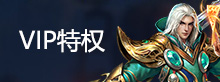 VIP特权